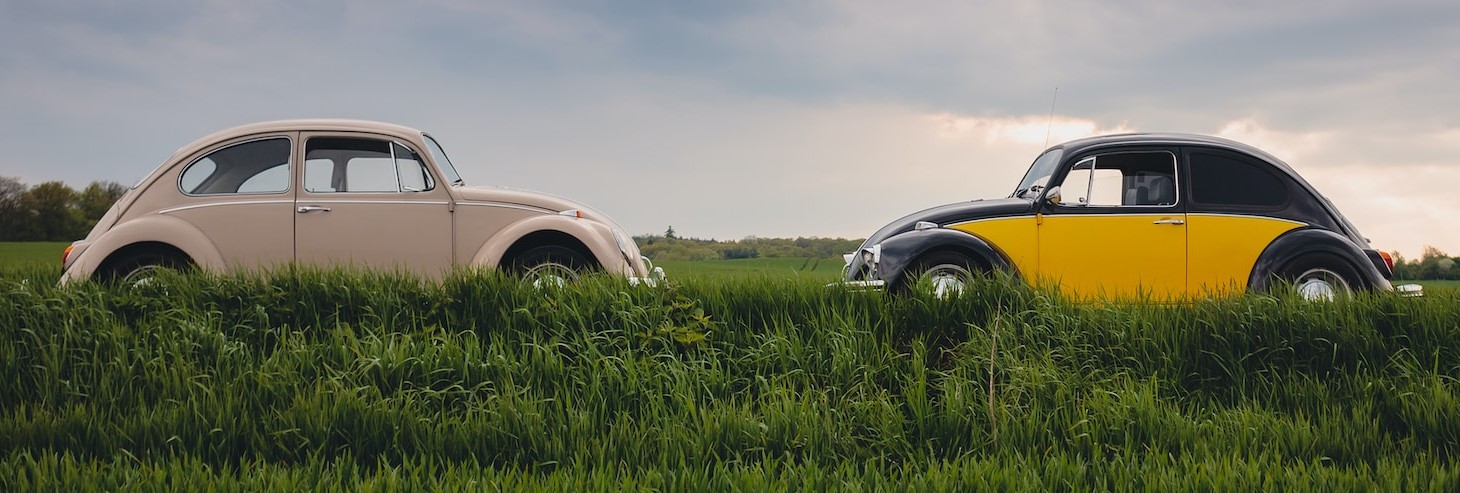 Two volkswagen beetles facing each other