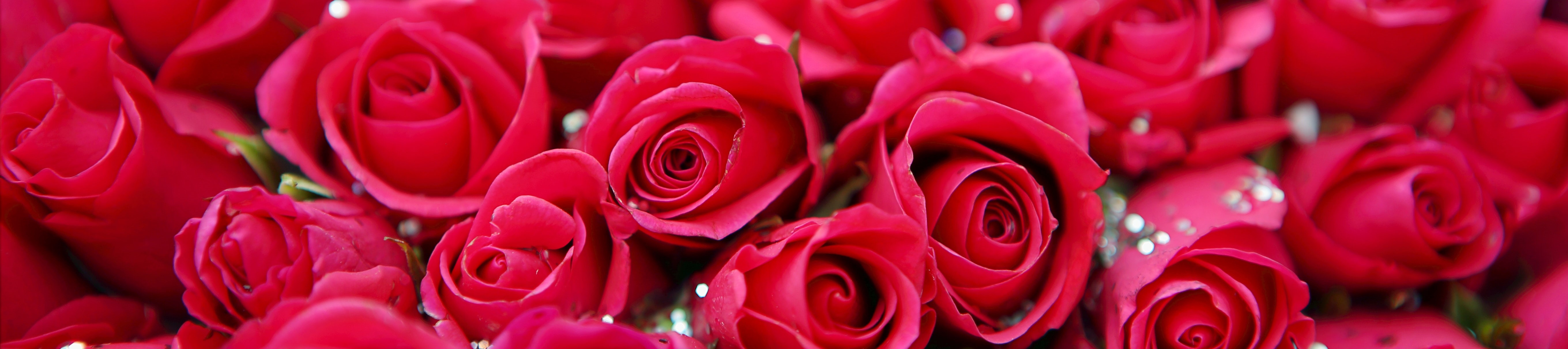 roses