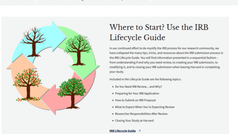 New Website - IRB Lifecycle Guide Screenshot