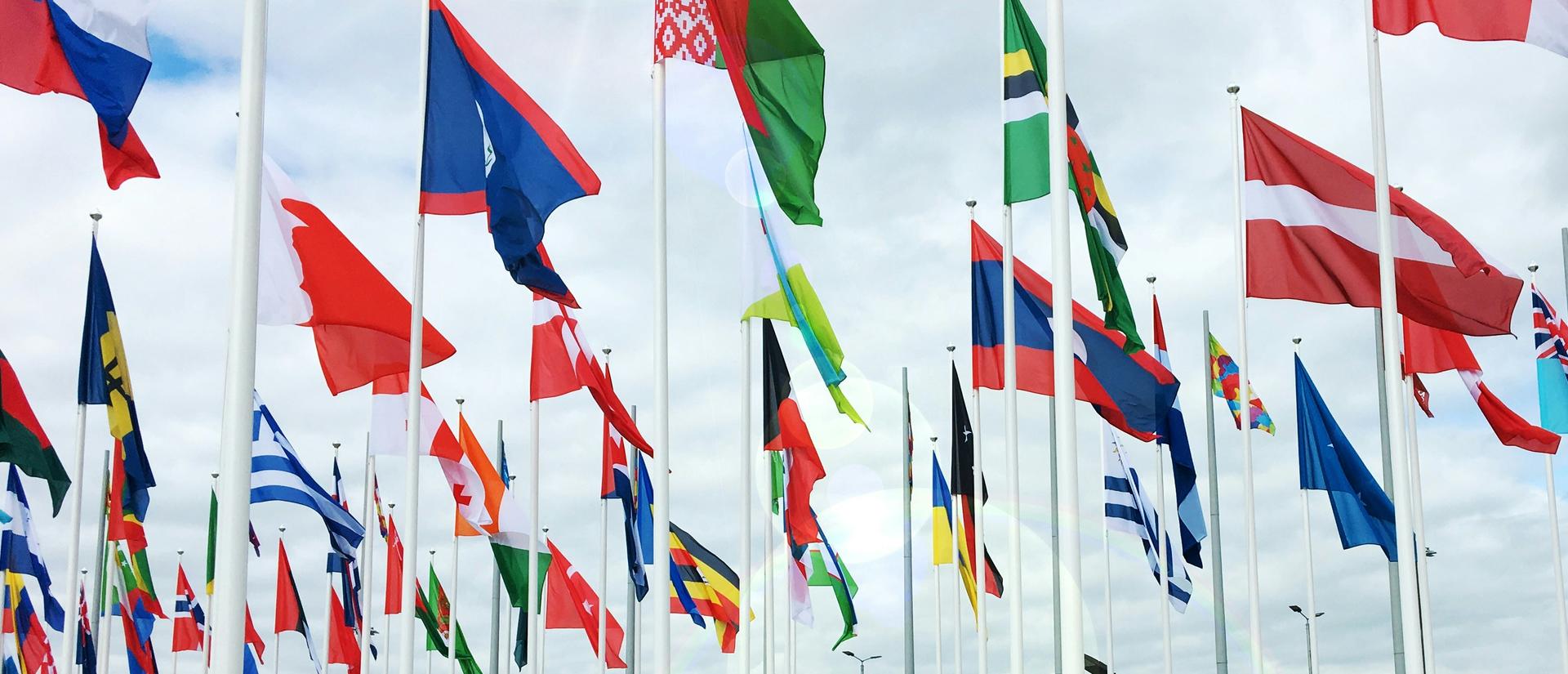 Looking skyward at many international flags fluttering in the sky